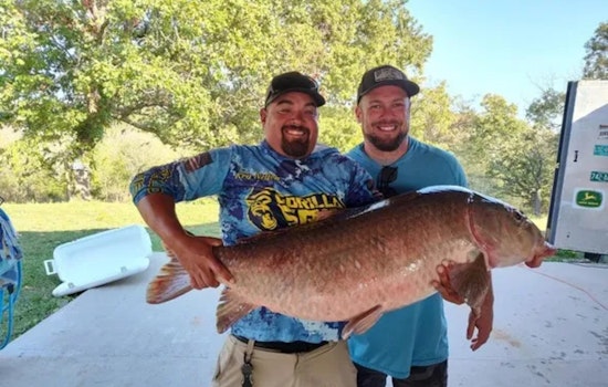 Missouri Angler Shatters 30-Year State Record with 55-Pound Black Buffalo Catch at Stockton Lake