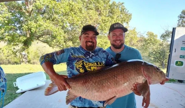 Missouri Angler Shatters 30-Year State Record with 55-Pound Black Buffalo Catch at Stockton Lake