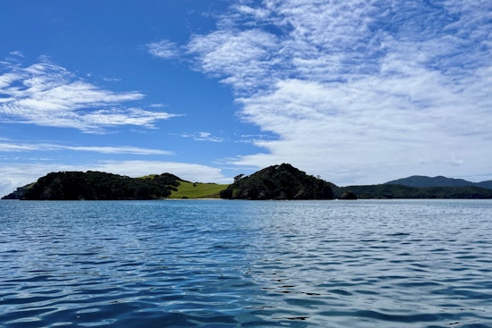 MIT and Norwegian Scientists Document Record-Breaking Ocean Predation Event Off Norway's Coast