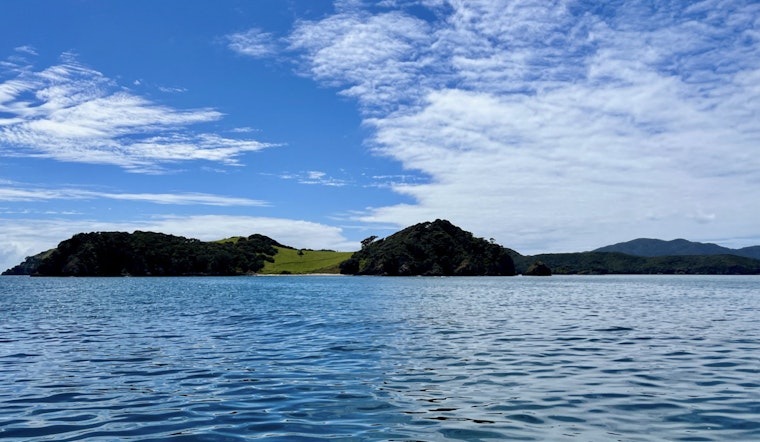 MIT and Norwegian Scientists Document Record-Breaking Ocean Predation Event Off Norway's Coast