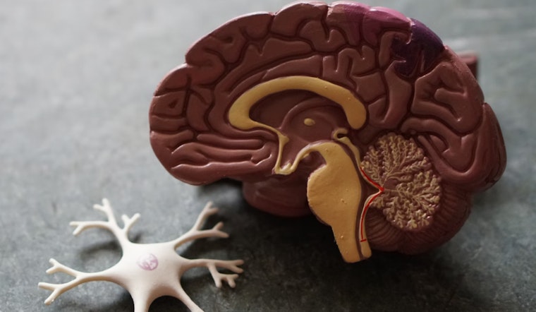 MIT and Vanderbilt Study Reveals How Anesthesia Affects Brain's Predictive and Conscious Cognition