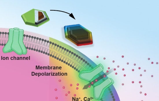 MIT Breakthrough as Magnetic Nanodiscs Could Revolutionize Brain Therapy Without Surgery