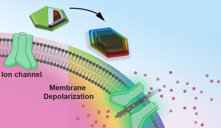MIT Breakthrough as Magnetic Nanodiscs Could Revolutionize Brain Therapy Without Surgery