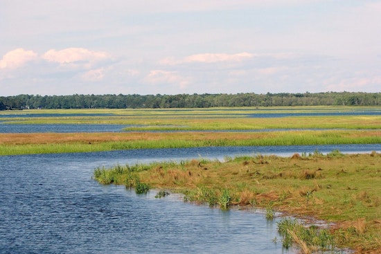 MIT Engineers Champion Marsh-Fronted Seawalls as Economically Savvy Coastal Defenders