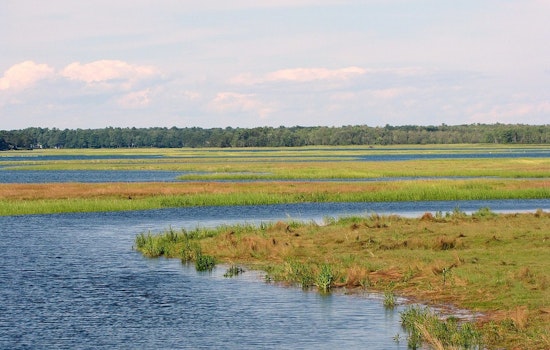 MIT Engineers Champion Marsh-Fronted Seawalls as Economically Savvy Coastal Defenders