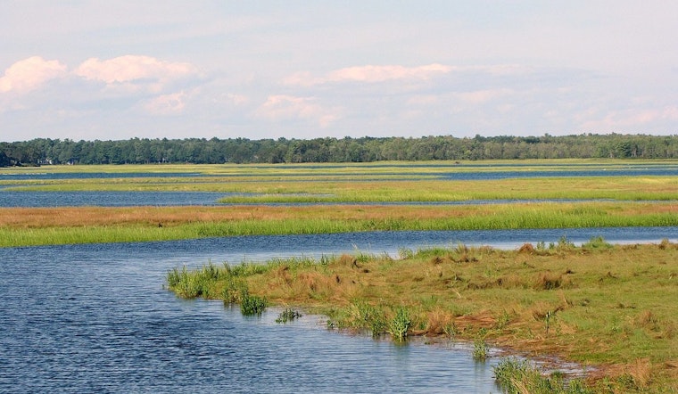 MIT Engineers Champion Marsh-Fronted Seawalls as Economically Savvy Coastal Defenders