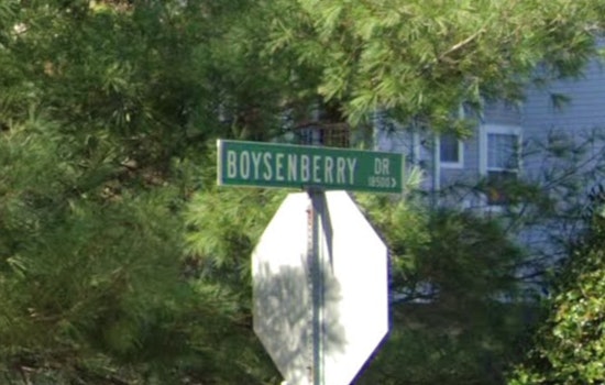 Montgomery County Detectives Seek Public Help in Boysenberry Drive Homicide Case