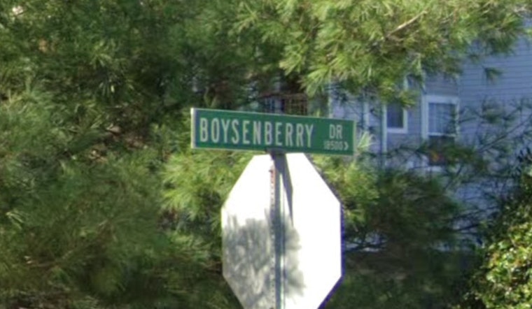 Montgomery County Detectives Seek Public Help in Boysenberry Drive Homicide Case