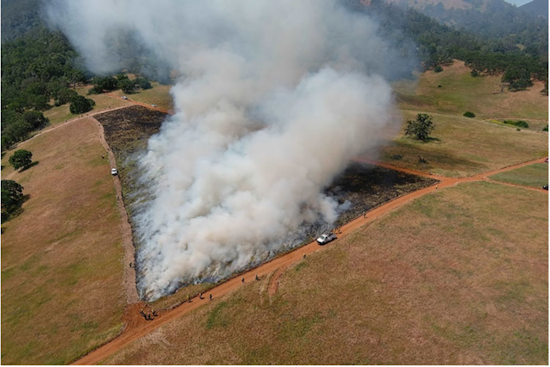 Mount Diablo State Park Plans Prescribed Burns for Ecosystem Health and Wildfire Prevention