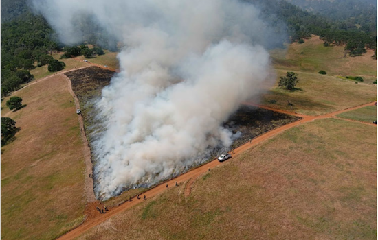 Mount Diablo State Park Plans Prescribed Burns for Ecosystem Health and Wildfire Prevention