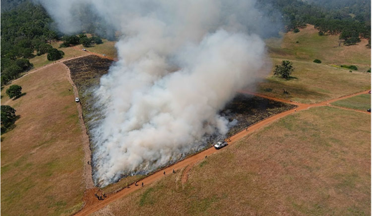 Mount Diablo State Park Plans Prescribed Burns for Ecosystem Health and Wildfire Prevention