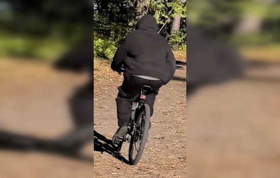Nashua Man Charged With Multiple Assaults at Mine Falls Park, Suspect Arrested After Victim Provides Photos