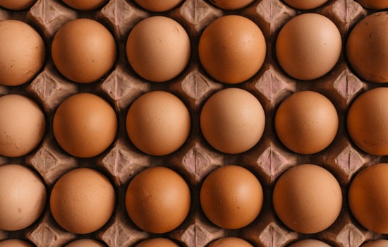 Nationwide Salmonella Outbreak Triggers "Class I" Recall Alert