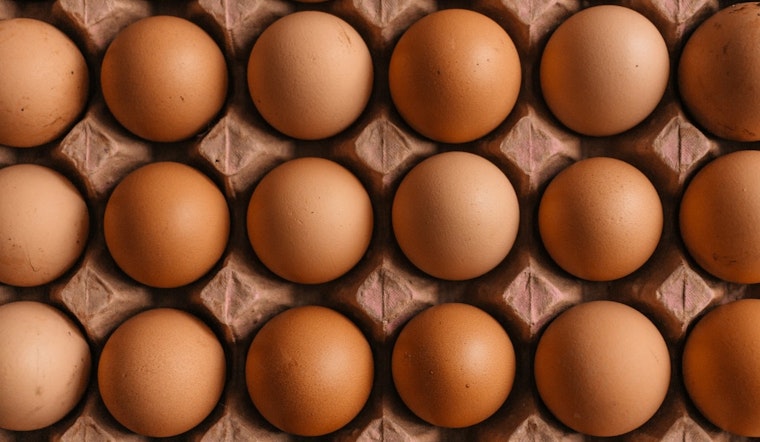 Nationwide Salmonella Outbreak Triggers "Class I" Recall Alert