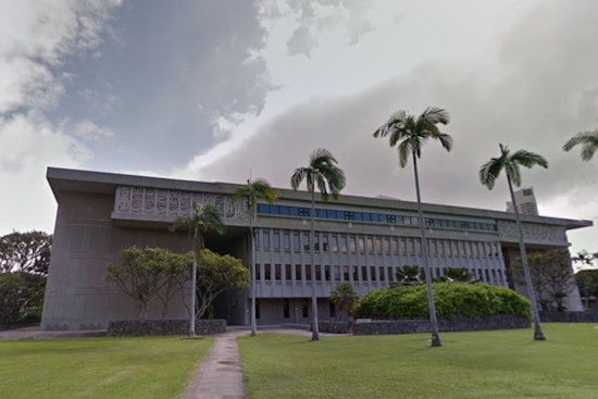 Native Hawaiian Crows Take Flight Towards Wild Reintroduction on Maui