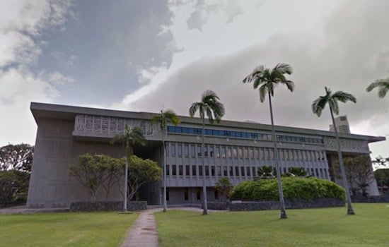 Native Hawaiian Crows Take Flight Towards Wild Reintroduction on Maui
