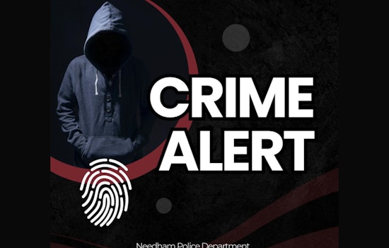 Needham Residents Alerted to Surge in iPhone Delivery Thefts as Police Urge Vigilance and Signature Requirements