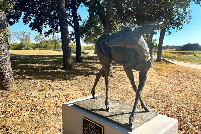 New Bronze Deer Sculpture "A Change of Direction" Enriches the Artistic Landscape of Arlington's Meadowbrook Park