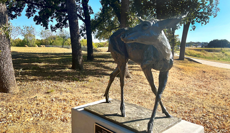 New Bronze Deer Sculpture "A Change of Direction" Enriches the Artistic Landscape of Arlington's Meadowbrook Park