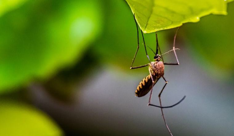 New Orleans Intensifies Mosquito Control Efforts with Nighttime Aerial and Truck Treatments