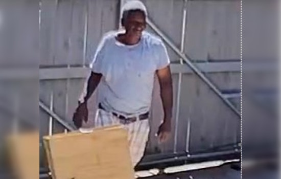 New Orleans PD Seeks Public Aid to Identify Suspect Accused of Ladder Theft on Amelia Street