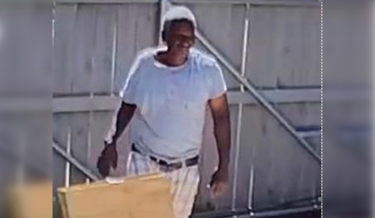 New Orleans PD Seeks Public Aid to Identify Suspect Accused of Ladder Theft on Amelia Street