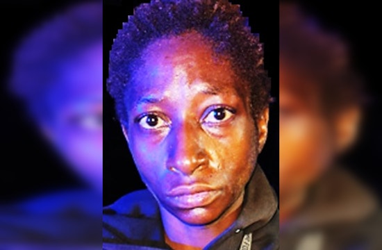 New Orleans Police Department Seeks Public Assistance to Locate Suspect in Auto Burglary Case