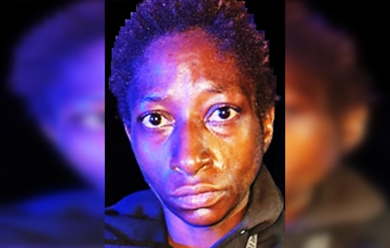 New Orleans Police Department Seeks Public Assistance to Locate Suspect in Auto Burglary Case