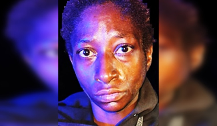 New Orleans Police Department Seeks Public Assistance to Locate Suspect in Auto Burglary Case