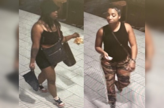 New Orleans Police Seek Public Assistance in Identifying Suspects Accused of Canal Street Theft and Fraud