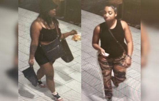 New Orleans Police Seek Public Assistance in Identifying Suspects Accused of Canal Street Theft and Fraud