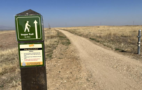 New Vesper Trail Opens in Boulder Following Success of Burrowing Owl Breeding Efforts
