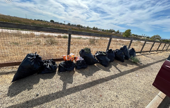 New York Resident Charged with Felonies After Suisun City Police Discover 200 Pounds of Suspected Marijuana
