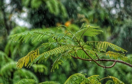 Oahu Anticipates Increased Showers and Lighter Winds as Trade Winds Ease This Week