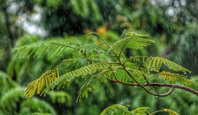 Oahu Anticipates Increased Showers and Lighter Winds as Trade Winds Ease This Week