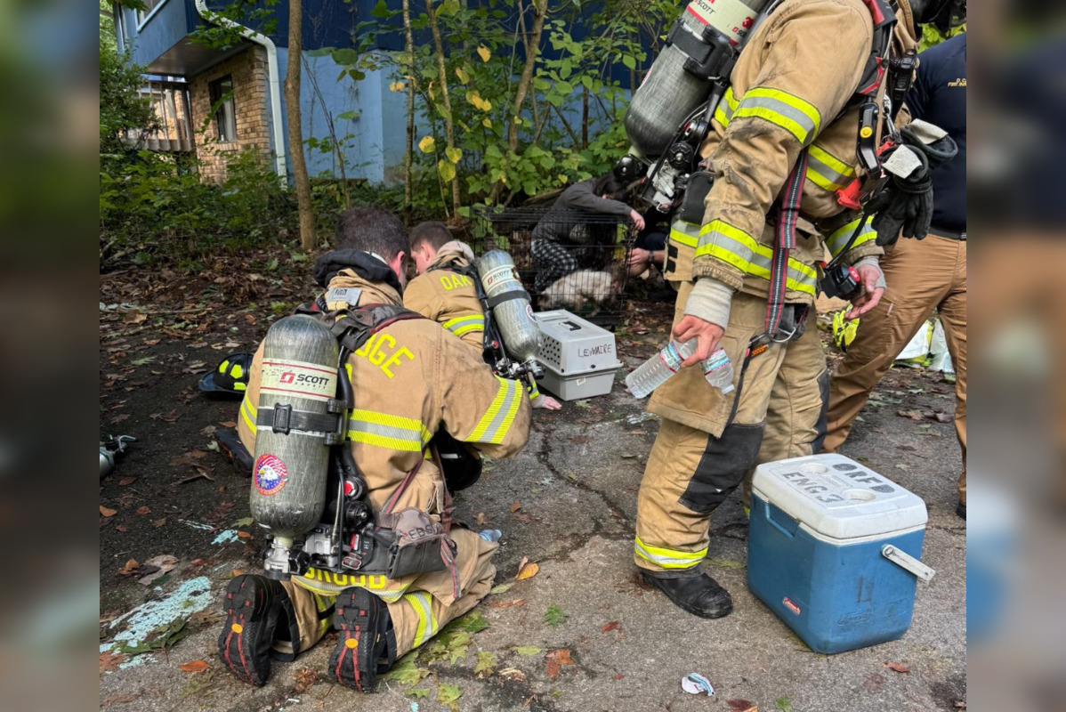 Oak Ridge Firefighters Heroically Rescue Woman and Multiple Pets from