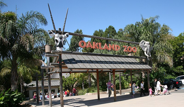 Oakland Zoo Lights Up the Night with Glowfari Lantern Spectacle for Fifth Year Running