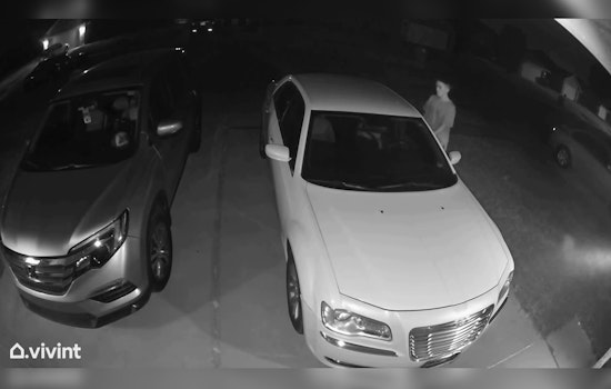 Oklahoma City Police Appeal for Public's Help to Locate Stolen Vehicles in Southwest 44th Area