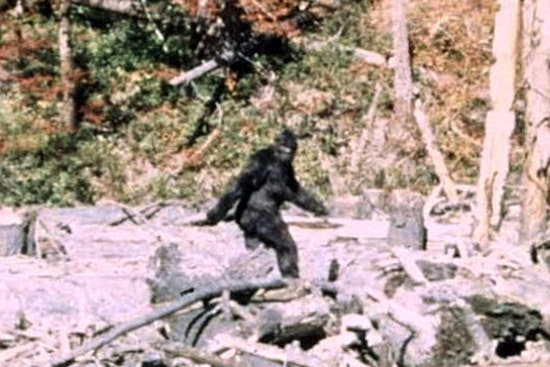 Oklahoma Man's TikTok Video Purporting Bigfoot Sighting Goes Viral Ahead of Honobia Festival