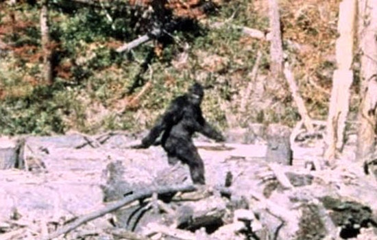 Oklahoma Man's TikTok Video Purporting Bigfoot Sighting Goes Viral Ahead of Honobia Festival