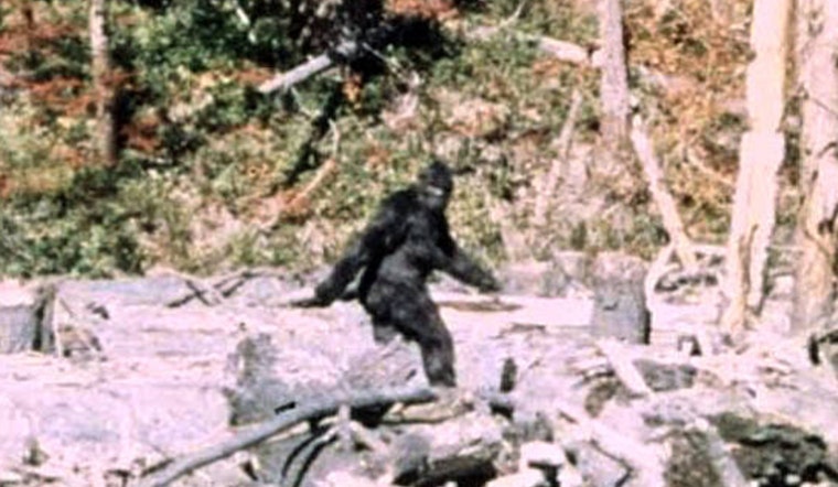 Oklahoma Man's TikTok Video Purporting Bigfoot Sighting Goes Viral Ahead of Honobia Festival