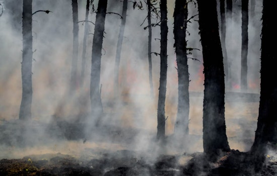 Oklahoma Wildfires Devastate Logan and Kingfisher Counties, Destroy Over 2,500 Acres and Homes