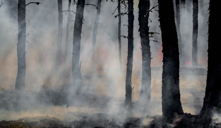 Oklahoma Wildfires Devastate Logan and Kingfisher Counties, Destroy Over 2,500 Acres and Homes