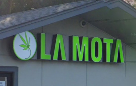 OLCC Investigates Portland Cannabis Retailer Following Fatal Shooting, La Mota Faces Scrutiny Amidst Tragedy