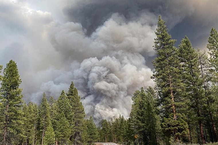 Oregon Governor Appeals to President Biden for Federal Aid After Devastating Wildfire Season