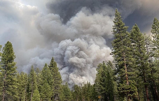 Oregon Governor Appeals to President Biden for Federal Aid After Devastating Wildfire Season