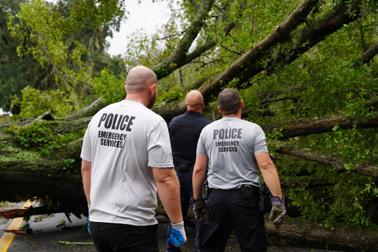 Orlando Commuters Diverted as Fallen Tree Blocks East Anderson Street, Crews Work to Clear the Way