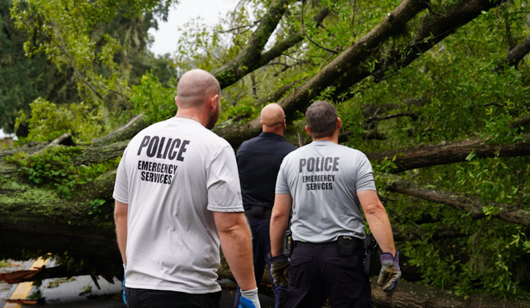 Orlando Commuters Diverted as Fallen Tree Blocks East Anderson Street, Crews Work to Clear the Way