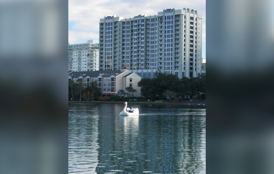 Orlando Couple Donates Australian Black Swans to Lake Eola in Celebration of Anniversary