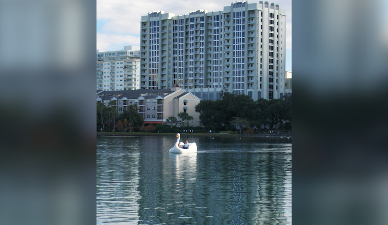 Orlando Couple Donates Australian Black Swans to Lake Eola in Celebration of Anniversary